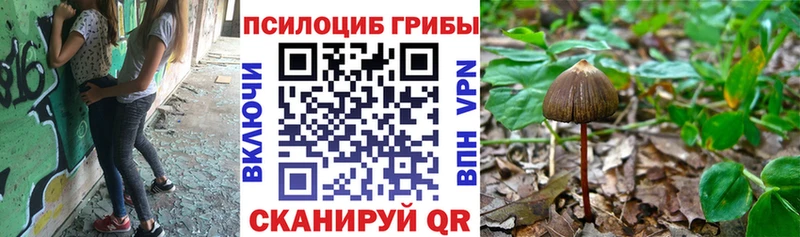 цены   блэк спрут ONION  Псилоцибиновые грибы Cubensis  Старый Крым 